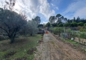 Detached villa with land for sale on España, Xàtiva, ref: TR338355 photo