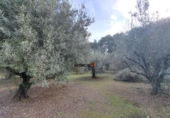 Detached villa with land for sale on España, Xàtiva, ref: TR338355 photo