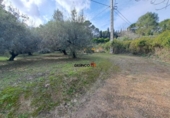 Detached villa with land for sale on España, Xàtiva, ref: TR338355 photo