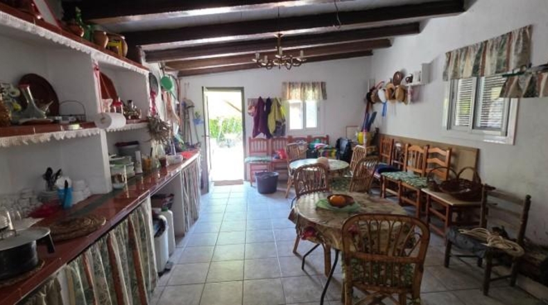 Tarragona - Vandellòs - 6000m2