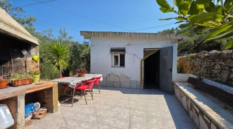 Tarragona - Vandellòs - 6000m2