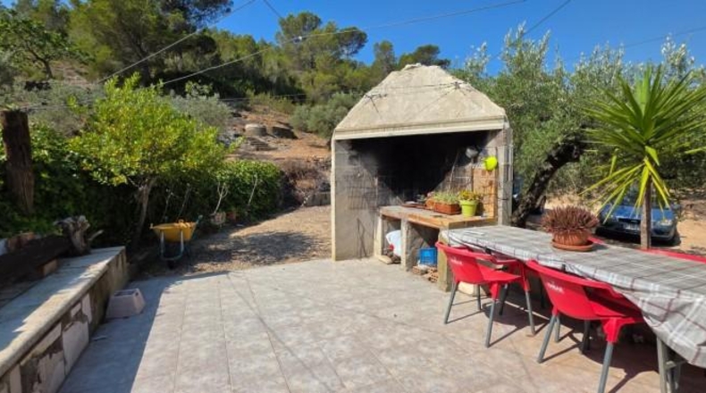 Tarragona - Vandellòs - 6000m2
