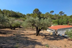 Foto 12