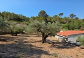 Xalet independent amb terreny en venda a la España, Vandellòs, ref.: TR317180 foto