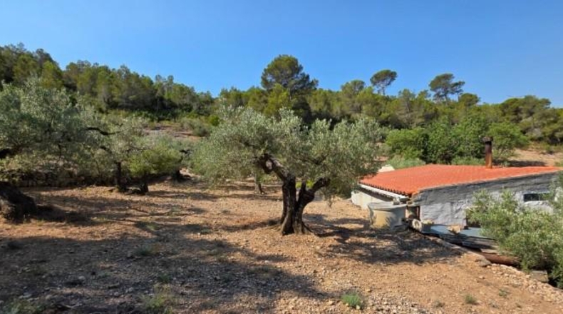 Tarragona - Vandellòs - 6000m2