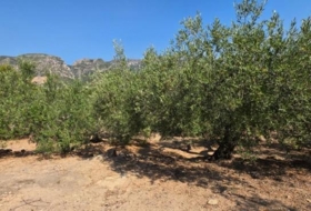 Foto 14
