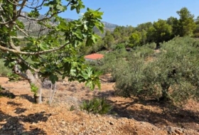 Foto 15