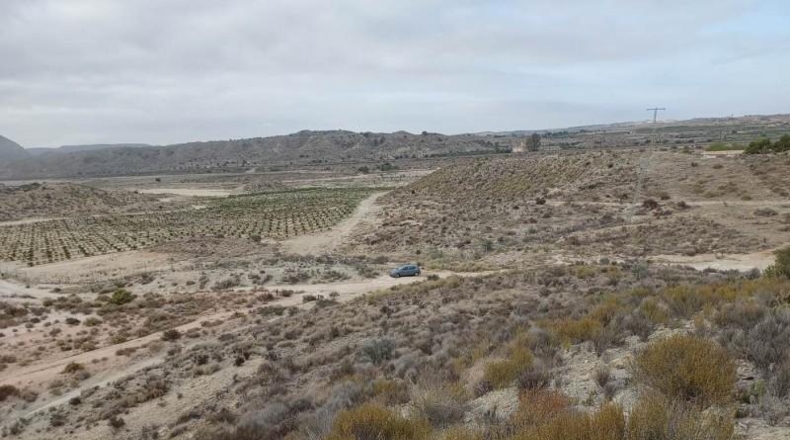 Alicante - Alicante - 26748m2