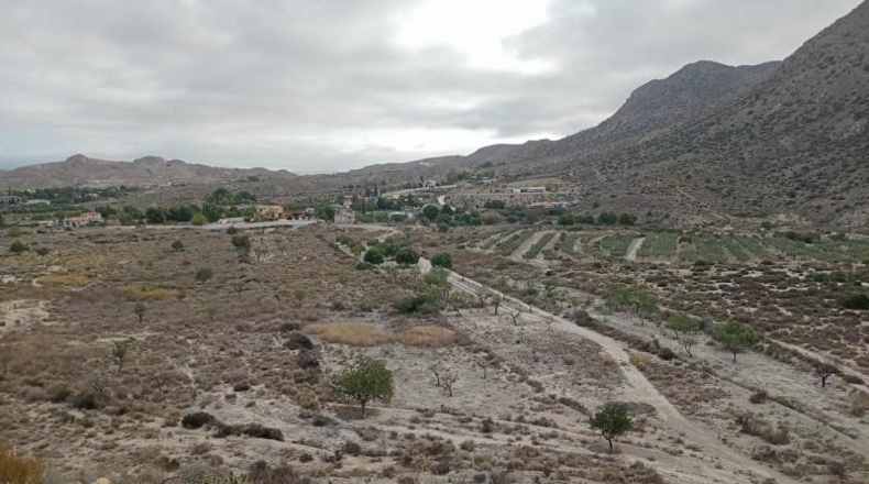 Alicante - Alicante - 26748m2
