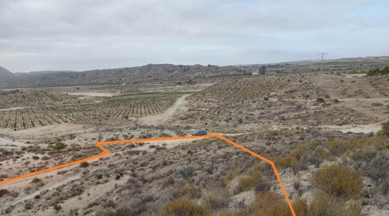Alicante - Alicante - 26748m2