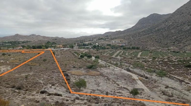 Alicante - Alicante - 26748m2