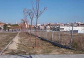Sòl urbà en venda a la España, el Vendrell, ref.: TR379223 foto