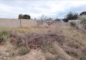 Finca rústica en venda a la España, Tomelloso, ref.: TR303595 foto