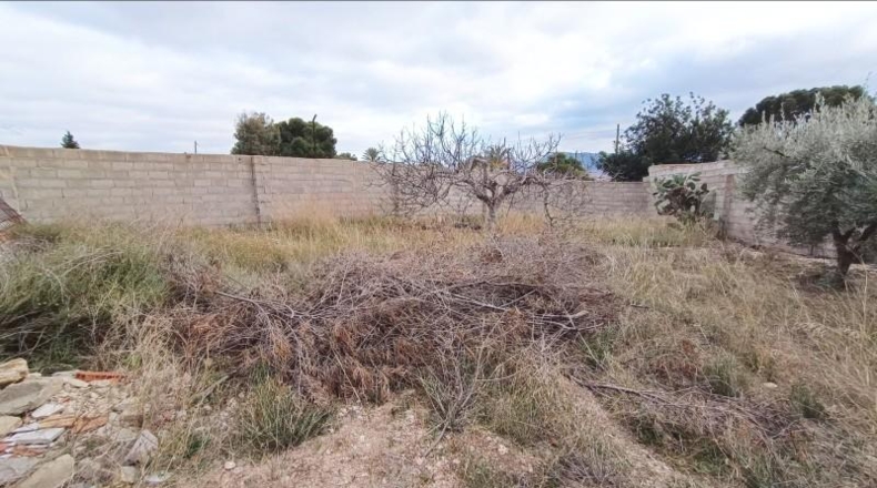 Alicante - Романа - 2532m2