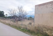 Finca rústica en venda a la España, Tomelloso, ref.: TR303595 foto