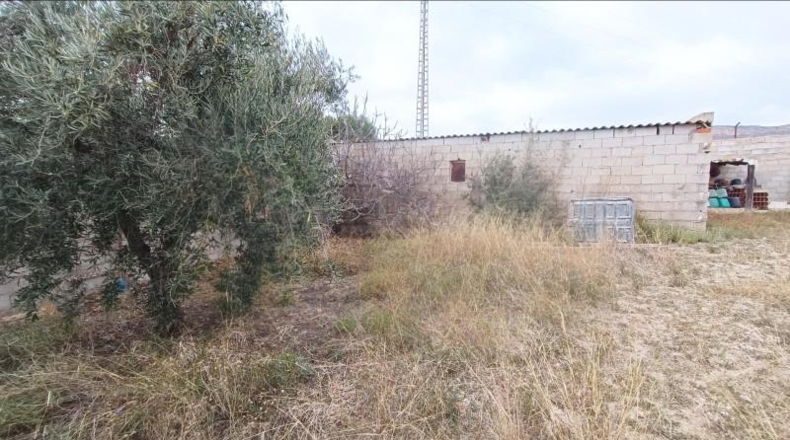 Alicante - Романа - 2532m2