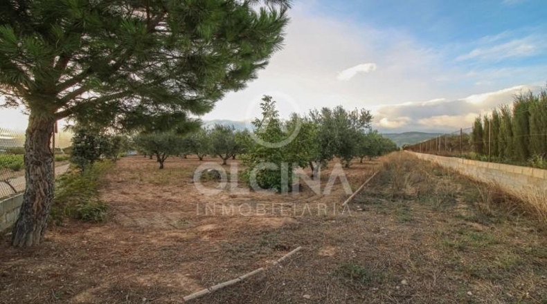 Alicante - Onil - 13000m2