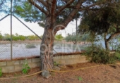Terreny no urbanitzable en venda a la España, Castalla, ref.: TR248308 foto