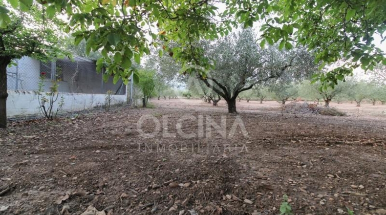 Alicante - Onil - 13000m2