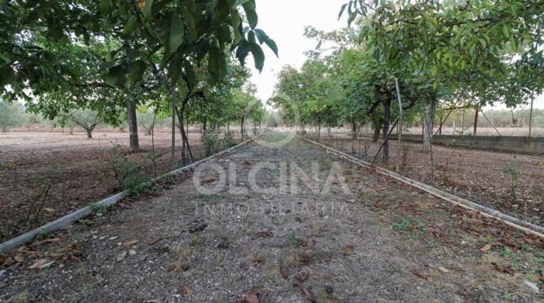 Alicante - Onil - 13000m2