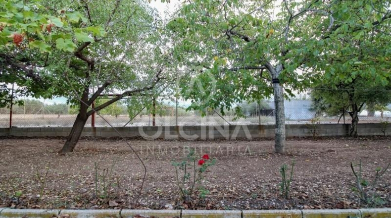 Alicante - Onil - 13000m2