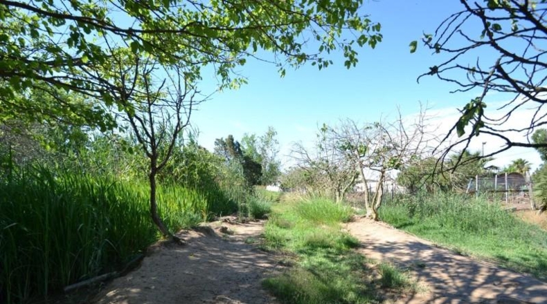 Tarragona - Deltebre - 9917m2
