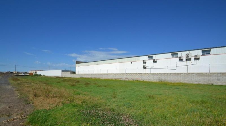 Tarragona - Deltebre - 9917m2