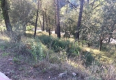 Sòl urbà en venda a la España, Castellví de Rosanes, ref.: TR114614 foto