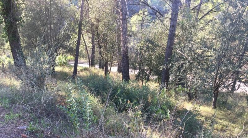 Barcelona - Castellví de Rosanes - 1008m2