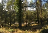 Sòl urbà en venda a la España, Castellví de Rosanes, ref.: TR114614 foto