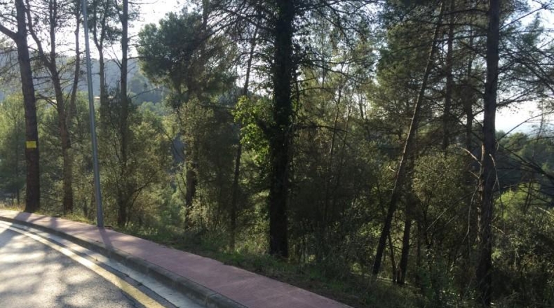 Barcelona - Castellví de Rosanes - 1008m2
