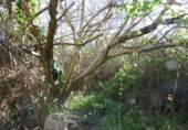 Non-developable land for sale on España, Manresa, ref: TR119995 photo