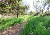 Non-developable land for sale on España, Manresa, ref: TR119995 photo