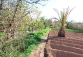 Non-developable land for sale on España, Manresa, ref: TR119995 photo