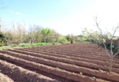 Non-developable land for sale on España, Manresa, ref: TR119995 photo
