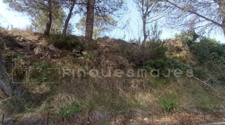 Barcelona - Vacarisses - 537m2