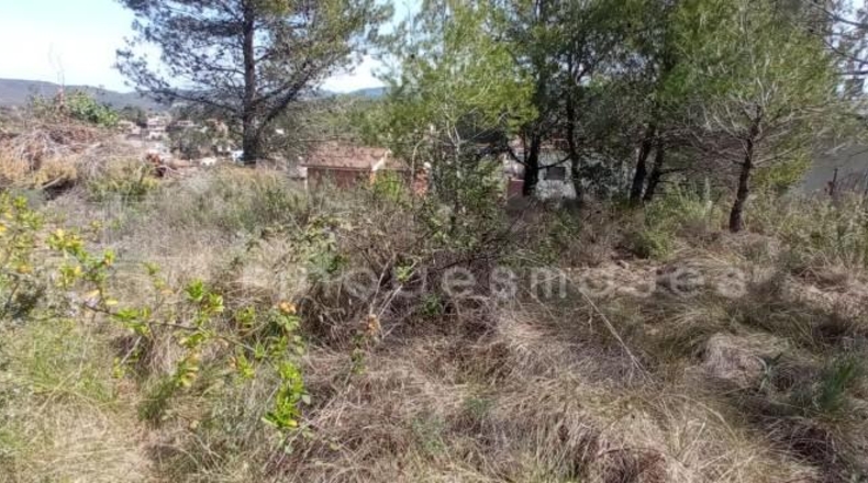 Barcelona - Vacarisses - 537m2