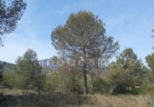 Parcel·la urbanitzable en venda a la España, Vacarisses, ref.: TR120836 foto