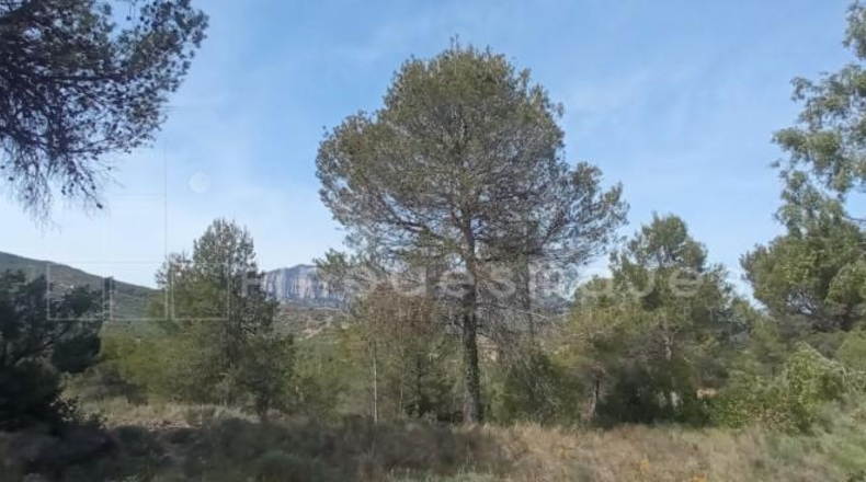 Barcelona - Vacarisses - 537m2