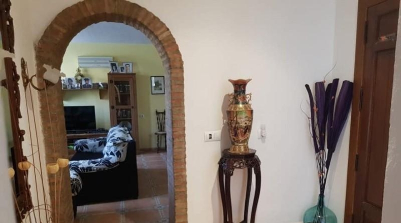 Cordova - Fuente Obejuna - 1700m2