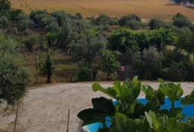 Foto 15