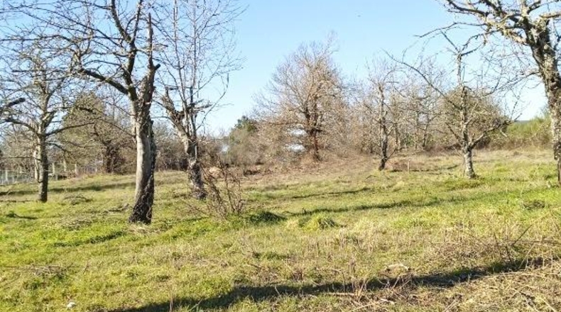Leon - Cabañas Raras - 3800m2