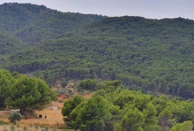 Yunquera 25000&nbsp;m² 