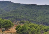Non-developable land for sale on España, Yunquera, ref: TR118236 photo