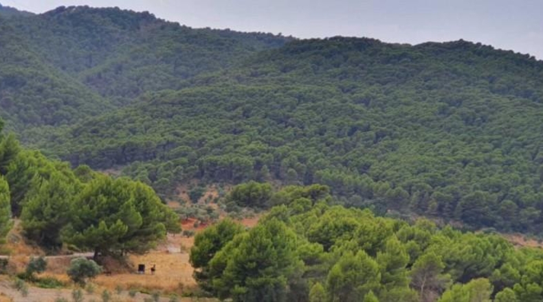 Málaga - Yunquera - 25000m2