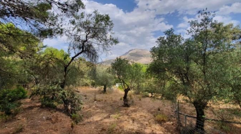 Málaga - Yunquera - 25000m2