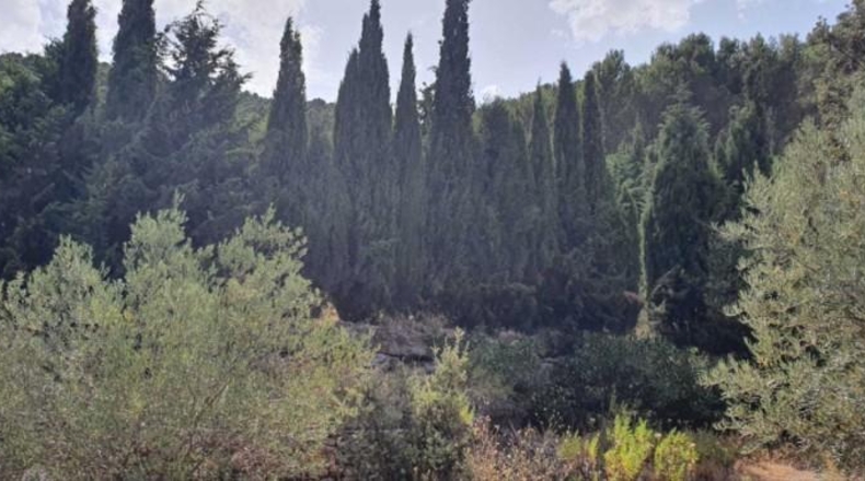 Málaga - Yunquera - 25000m2