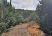 Non-developable land for sale on España, Yunquera, ref: TR118236 photo
