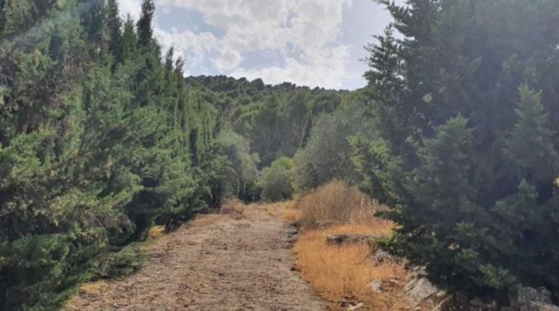 Málaga - Yunquera - 25000m2