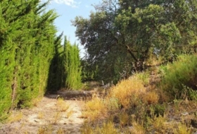 Yunquera 25000&nbsp;m² 